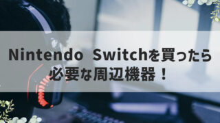 Nintendo Switchを買ったら必要な周辺機器